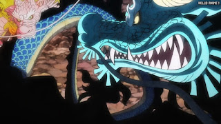 ワンピースアニメ 1050話 カイドウ | ONE PIECE Episode 1050