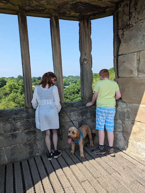 16 Things to do at Barnard Castle  - View from barnard Castle