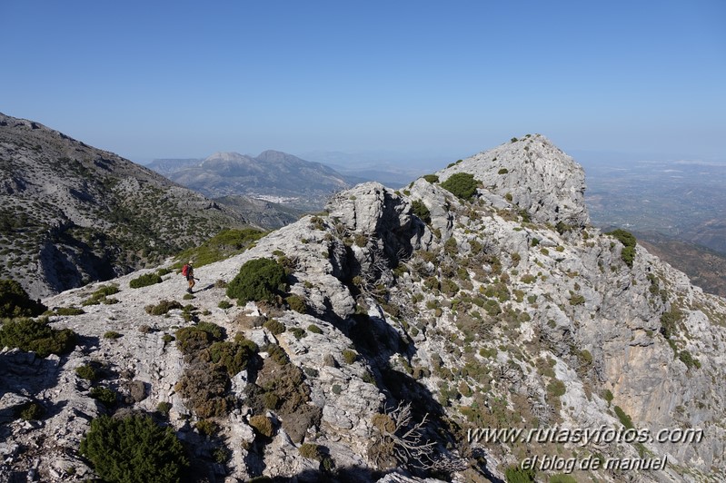 Puerto Corona-Oreganeros-Torrecilla-Atalayas