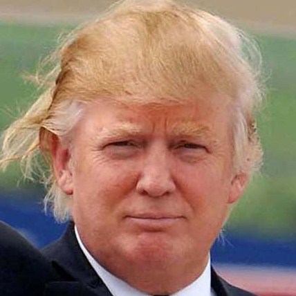 donald trump hair blowing in the wind. donald trump hair blowing in