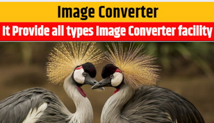Online Free Image Converter: