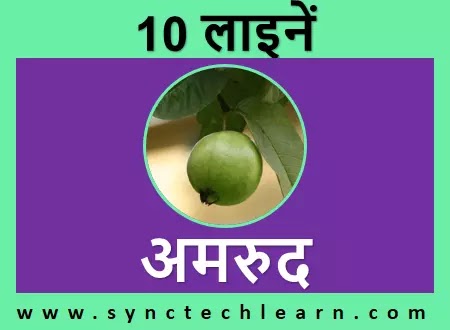 10 lines on guava in hindi
