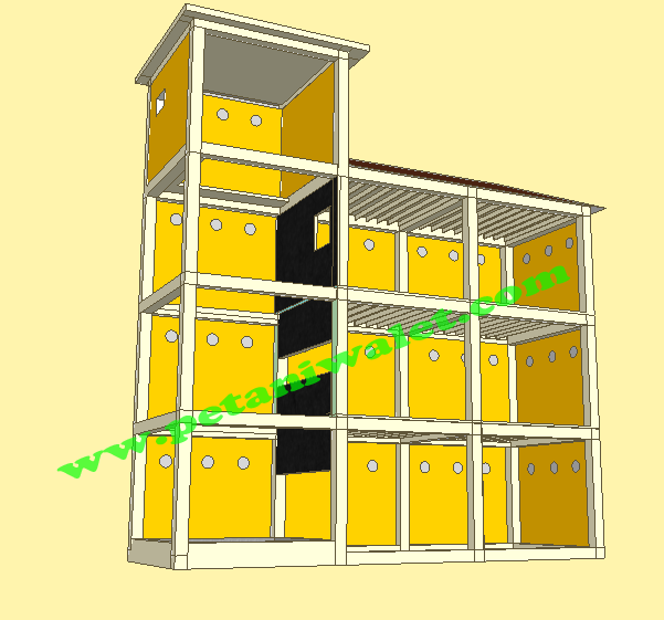 Desain Rumah Walet 6x8