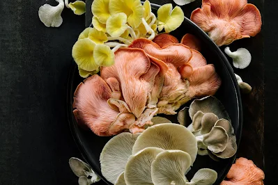 Mushroom Supplier Company in Kalyan-Dombivali