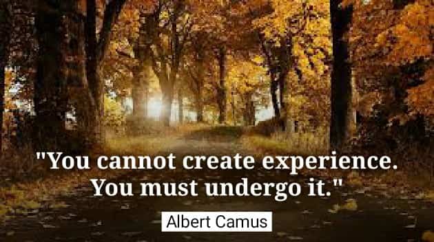 You cannot create experience. You must undergo it. Albert Camus Quotes