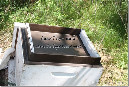 feeder_tray