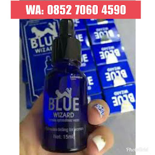 Grosir Blue Wizard Asli Makassar