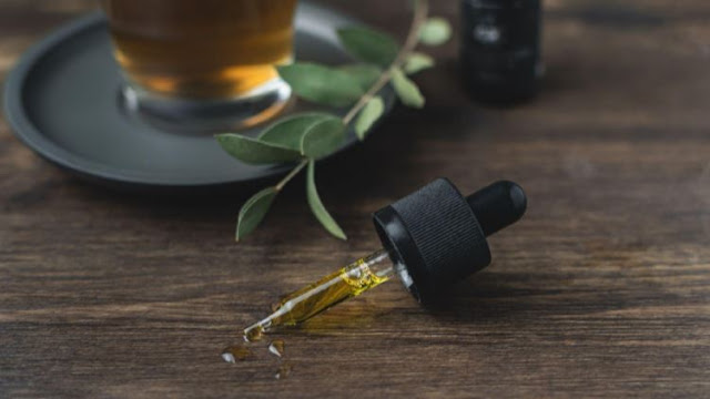 cannabidiol startup company launch