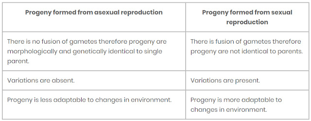 Biology Chapter 1 Reproduction in Organisms question 5