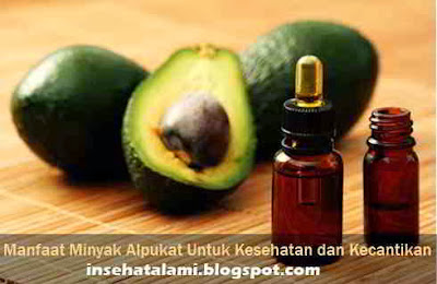 25 Manfaat Alpukat Untuk Kesehatan dan Kecantikan