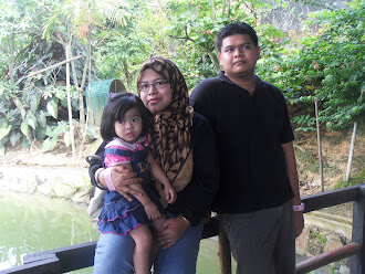 Sarawak 2011