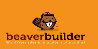 Beaver Builder Pro v2.2.3