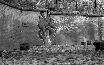 http://fotobabij.blogspot.com/2015/11/graffiti-na-ge-bokiej-drodze-w-puawach_8.html