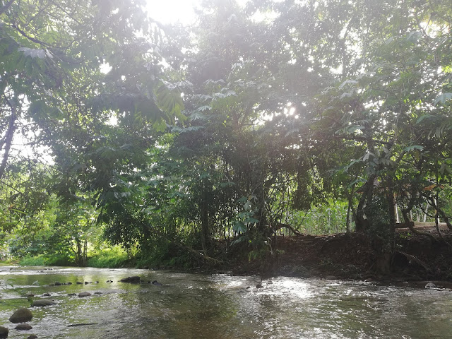 riverside janda baik | farahnothman