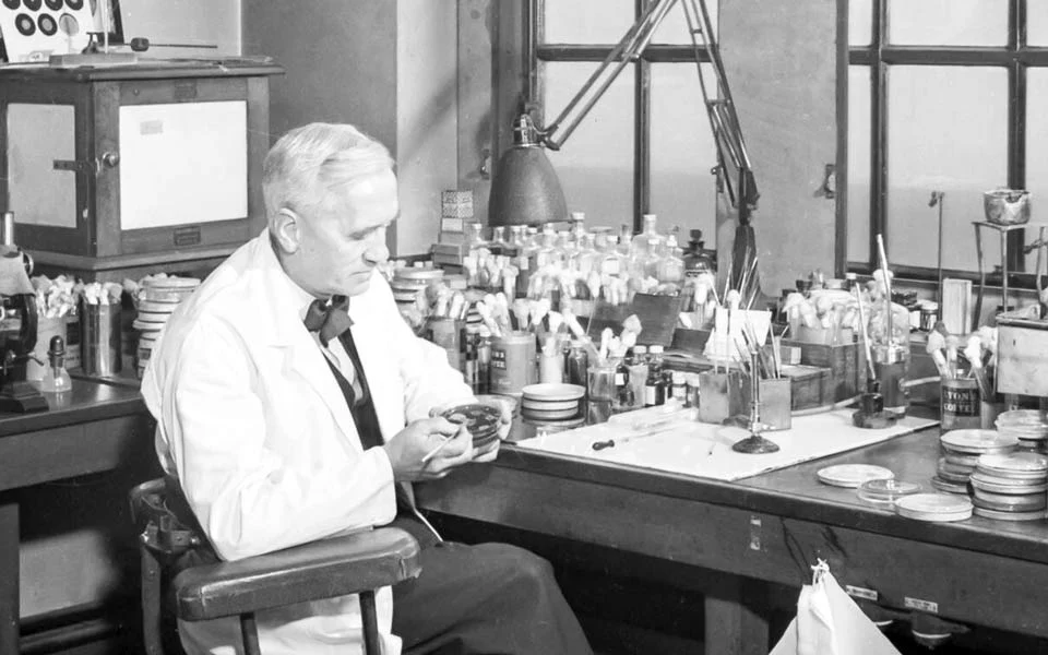 Alexander Fleming, przypadkowy odkrywca penicyliny, podczas pracy w swoim laboratorium