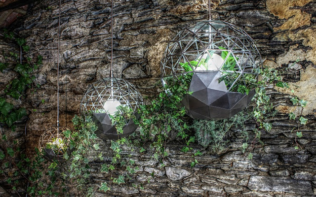 Geodesic Terrariums Wall