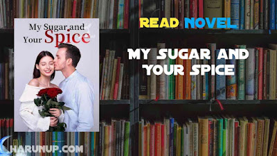 Read My Sugar and Your Spice Novel Full Episode