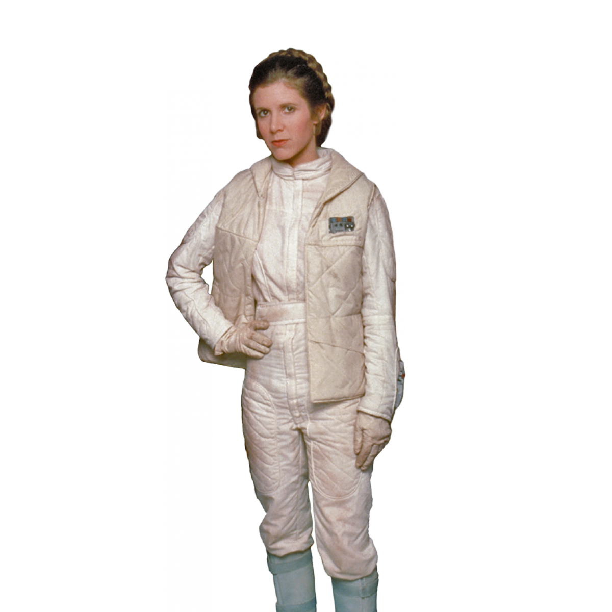 Download PNG Princesa Leia (Star Wars, Princess Leia, The Force ...