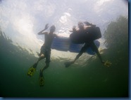 IMG_6955