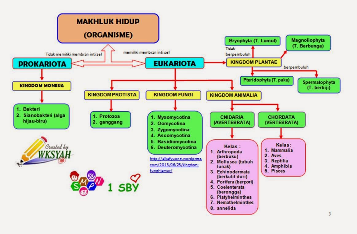 IPA KELAS 7 3 kurikulum 2013 klasifikasi makhluk hidup  