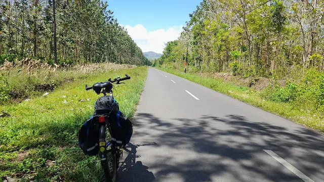 Jalan Grajagan Banyuwangi