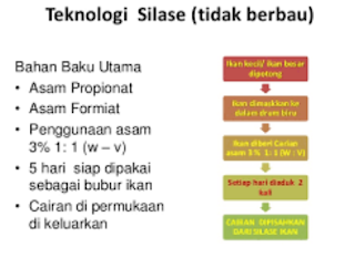 PEMBUATAN SILASE IKAN DARI IKAN RUCAH