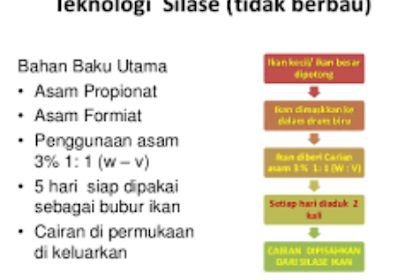 PEMBUATAN SILASE IKAN DARI IKAN RUCAH