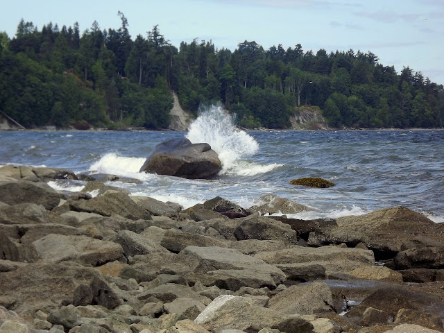 A windy day at Entwhistle Road Secret Beach (2011-08-06) 