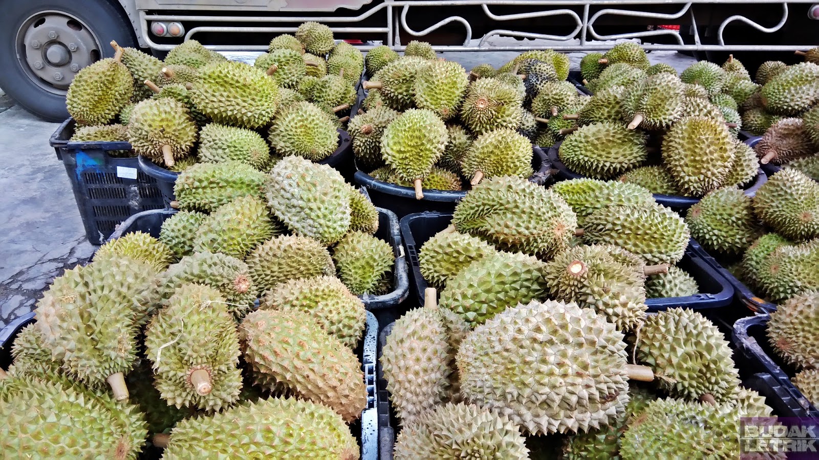 Budak Letrik Ada Apa di Betong Menjejak Durian Batu  