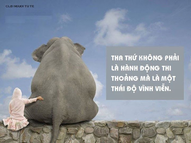 Tha thứ và được tha thứ