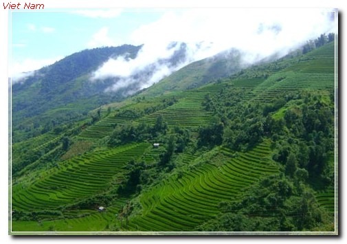 songnuimuongtien