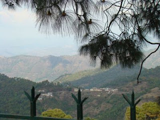 Kasauli 