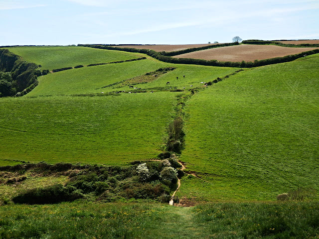 Fields on way to Mveagissey, Cornwall