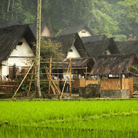 Pengertian Desa Swadaya