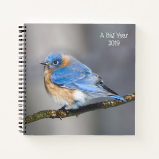  A Big Year Birding Journal