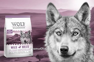 Logo Diventa tester Premium crocchette per cani Wolf of Wilderness