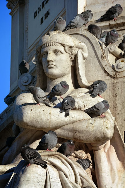 Rossio Square Lisbon Pigeons