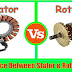 Difference Between Stator & Rotor 