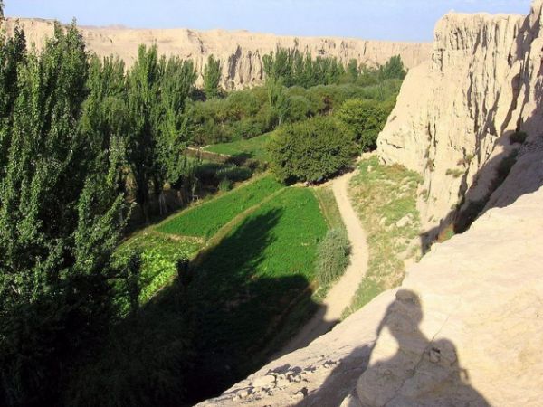 Oasis Turpan