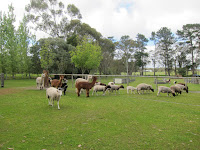 Margaret River Hideaway