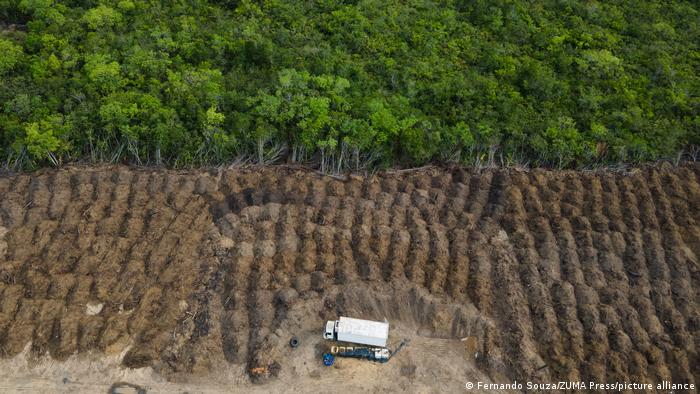 Amazonía brasileña registra la mayor deforestación de los últimos 15 años