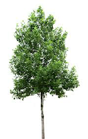 <imgsrc="http://udinikkara.blogspot.com/image.png" alt="tree" … />