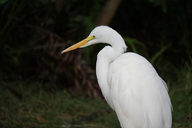 Everglades National Park