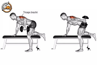 Chest and Triceps Workout For Strength and Mass