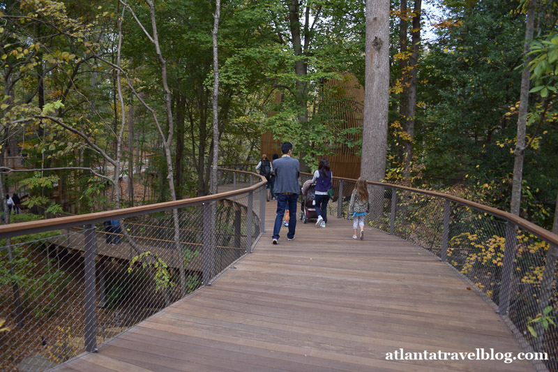 WildWoods and Fernbank Forest