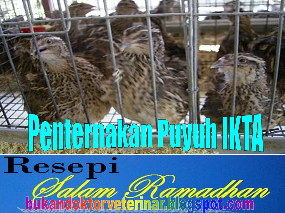 Bukan doktor veterinar: Ternak Puyuh IKTA