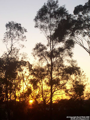 Sunset in an Australian backyard at the end of Summer