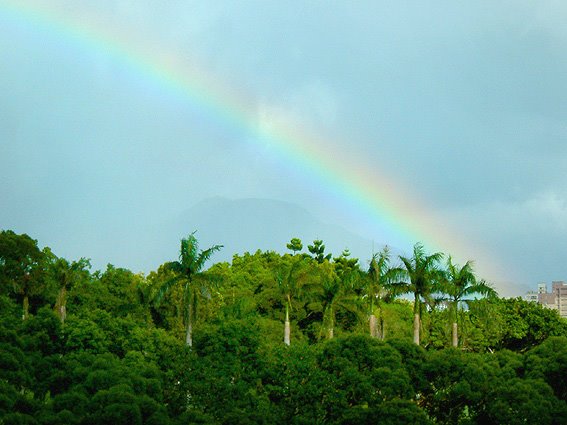 [rainbow_20080927.jpg]