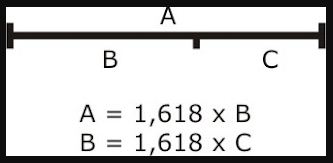 Komposisi Aquscape Dengan Golden Ratio