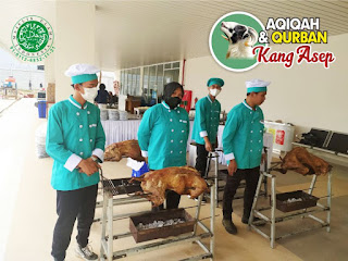 Jual Kambing Guling Ciwidey Bandung,Jual Kambing Guling Ciwidey,kambing guling ciwidey,kambing guling ciwidey bandung,kambing guling,jual kambing guling,